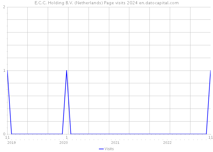 E.C.C. Holding B.V. (Netherlands) Page visits 2024 