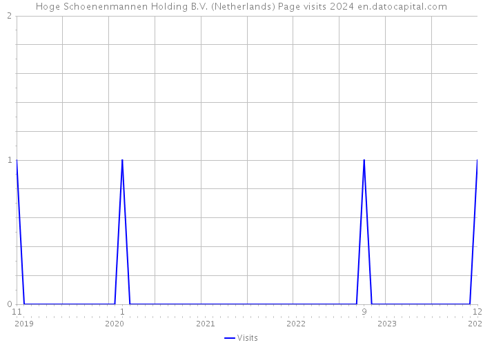Hoge Schoenenmannen Holding B.V. (Netherlands) Page visits 2024 