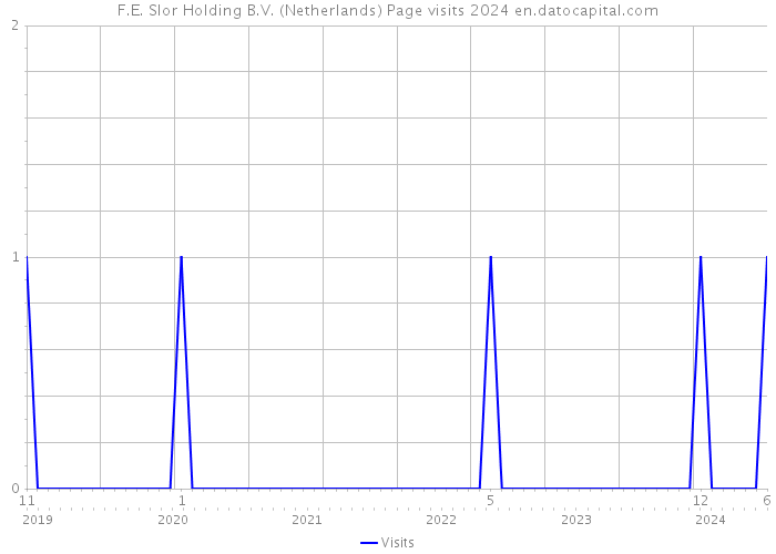F.E. Slor Holding B.V. (Netherlands) Page visits 2024 