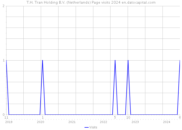 T.H. Tran Holding B.V. (Netherlands) Page visits 2024 