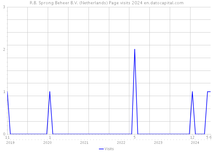 R.B. Sprong Beheer B.V. (Netherlands) Page visits 2024 