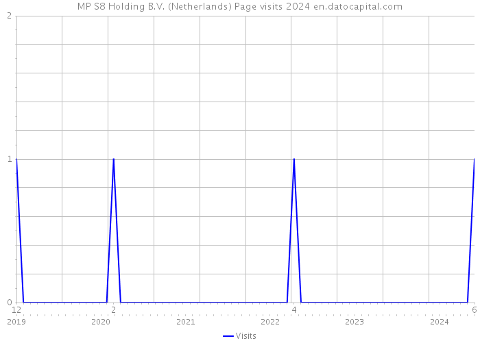 MP S8 Holding B.V. (Netherlands) Page visits 2024 