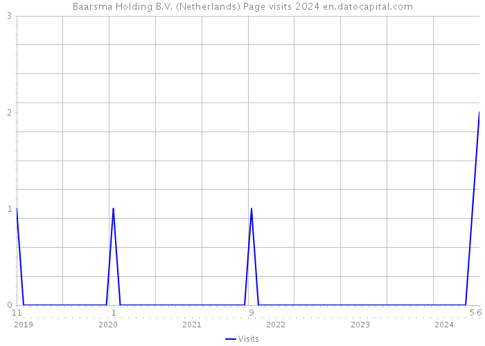 Baarsma Holding B.V. (Netherlands) Page visits 2024 