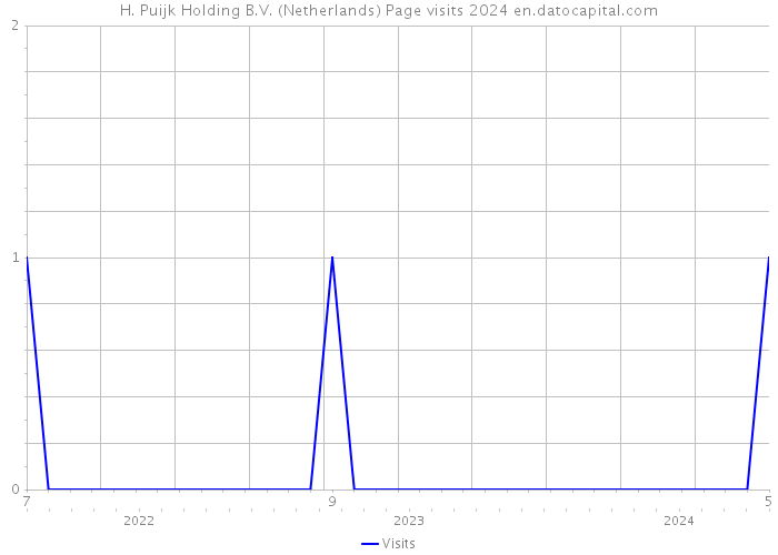 H. Puijk Holding B.V. (Netherlands) Page visits 2024 
