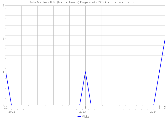 Data Matters B.V. (Netherlands) Page visits 2024 