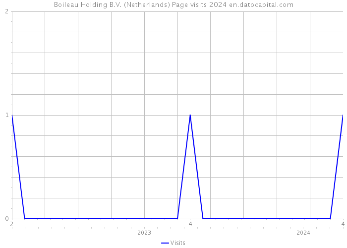 Boileau Holding B.V. (Netherlands) Page visits 2024 