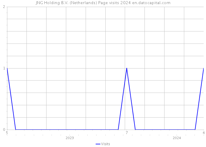 JNG Holding B.V. (Netherlands) Page visits 2024 