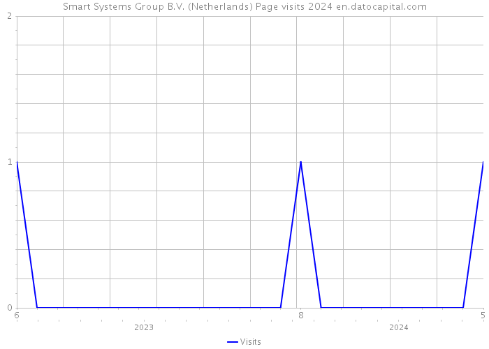 Smart Systems Group B.V. (Netherlands) Page visits 2024 