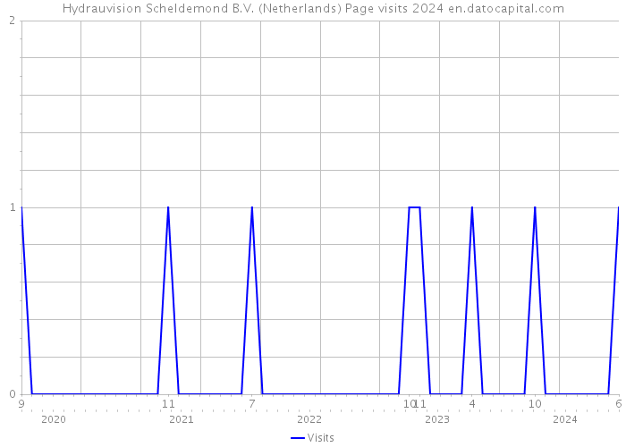 Hydrauvision Scheldemond B.V. (Netherlands) Page visits 2024 