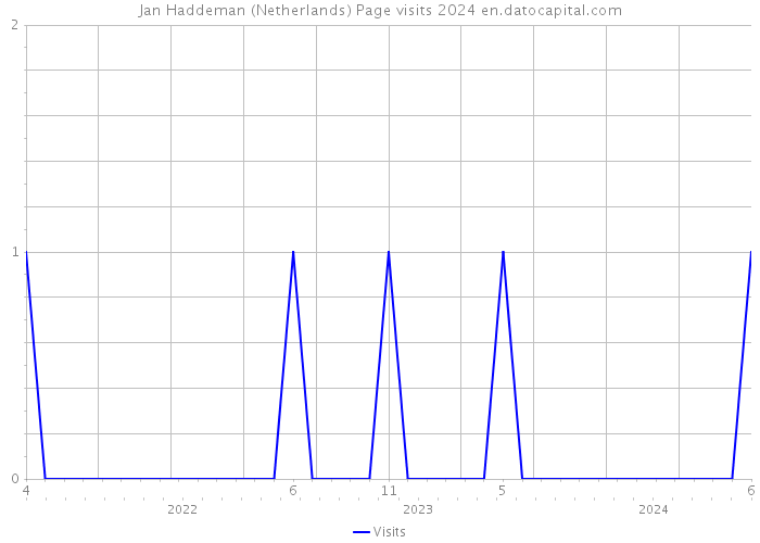 Jan Haddeman (Netherlands) Page visits 2024 