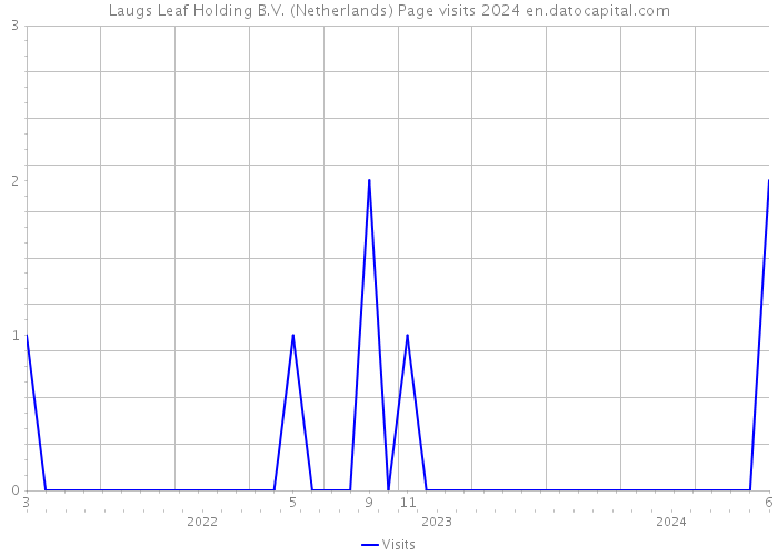 Laugs Leaf Holding B.V. (Netherlands) Page visits 2024 