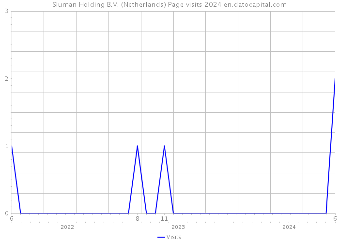 Sluman Holding B.V. (Netherlands) Page visits 2024 