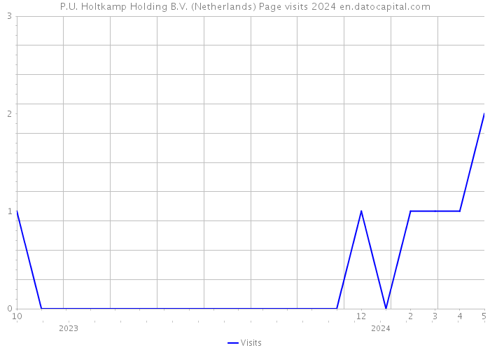 P.U. Holtkamp Holding B.V. (Netherlands) Page visits 2024 