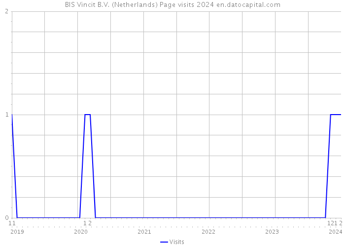BIS Vincit B.V. (Netherlands) Page visits 2024 