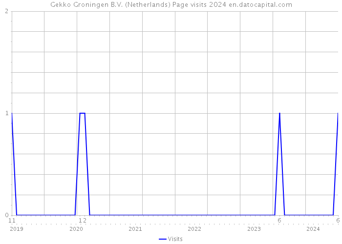 Gekko Groningen B.V. (Netherlands) Page visits 2024 