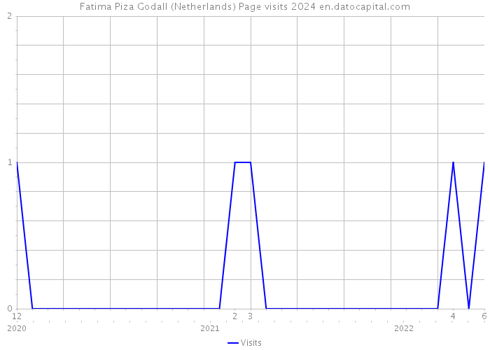 Fatima Piza Godall (Netherlands) Page visits 2024 