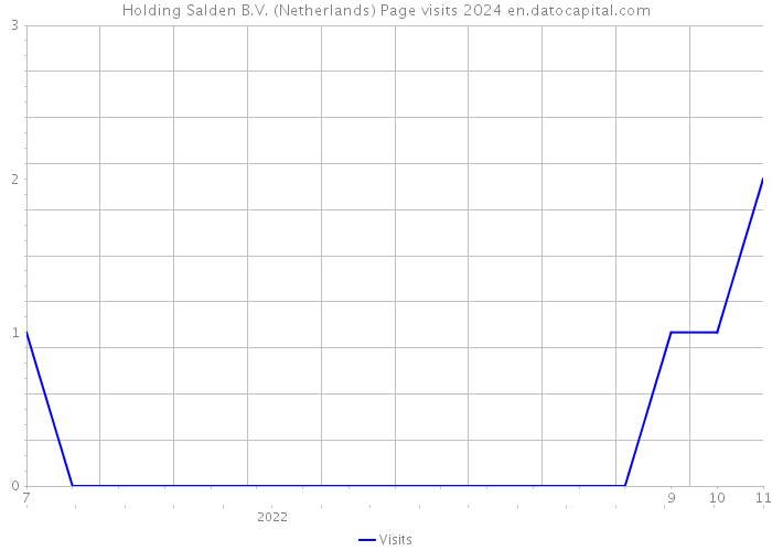 Holding Salden B.V. (Netherlands) Page visits 2024 