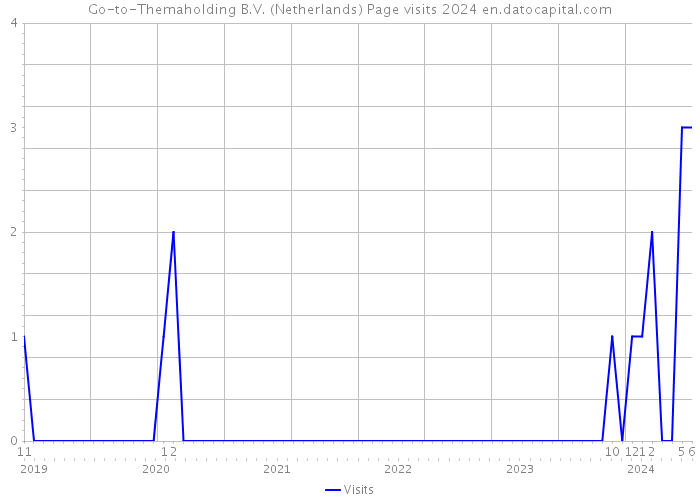 Go-to-Themaholding B.V. (Netherlands) Page visits 2024 