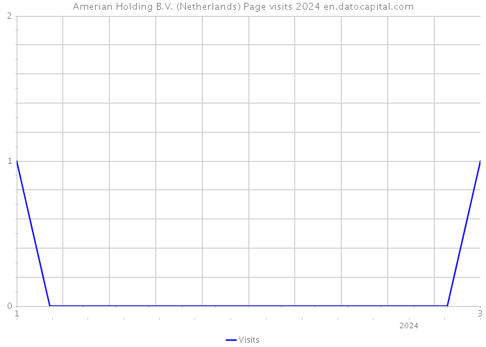 Amerian Holding B.V. (Netherlands) Page visits 2024 