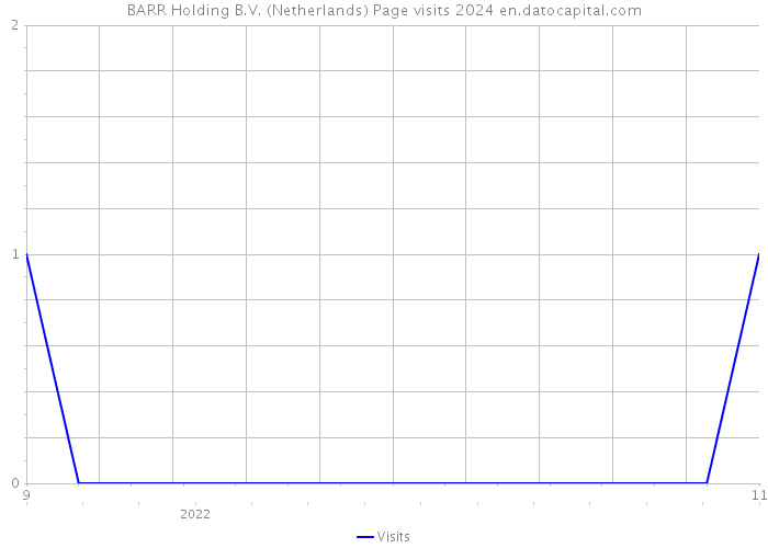 BARR Holding B.V. (Netherlands) Page visits 2024 