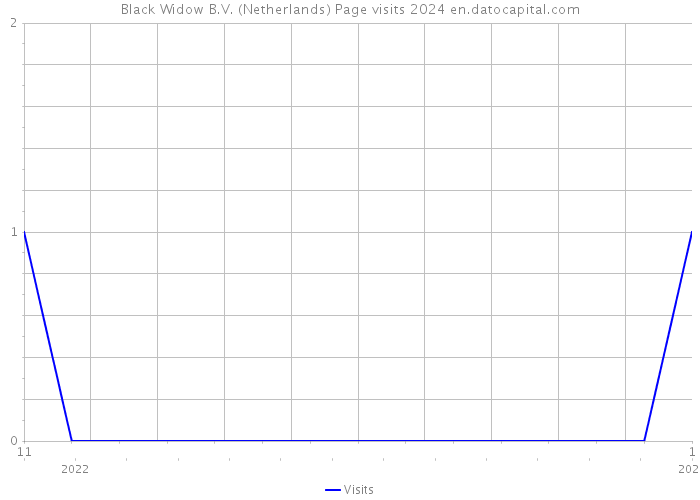 Black Widow B.V. (Netherlands) Page visits 2024 