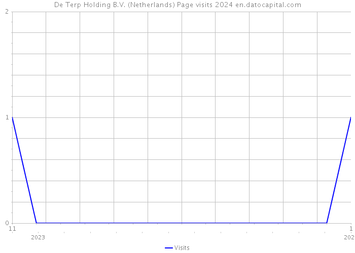 De Terp Holding B.V. (Netherlands) Page visits 2024 