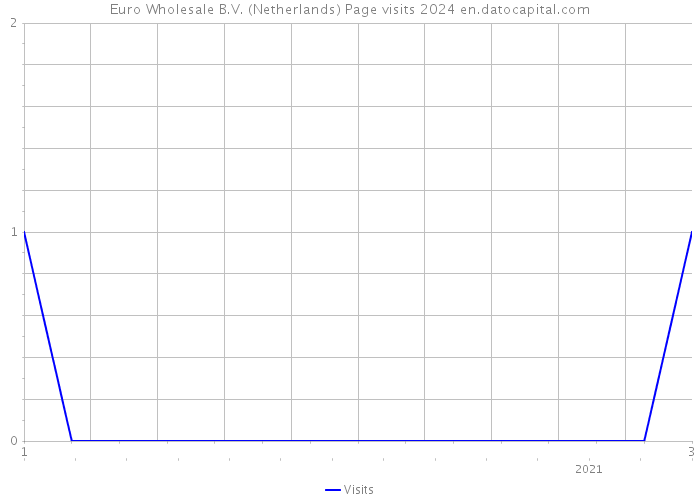 Euro Wholesale B.V. (Netherlands) Page visits 2024 