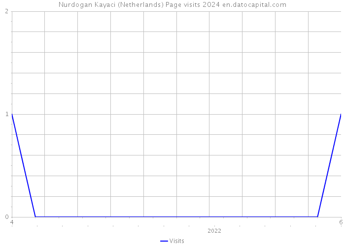 Nurdogan Kayaci (Netherlands) Page visits 2024 