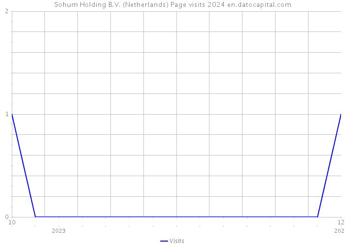Sohum Holding B.V. (Netherlands) Page visits 2024 