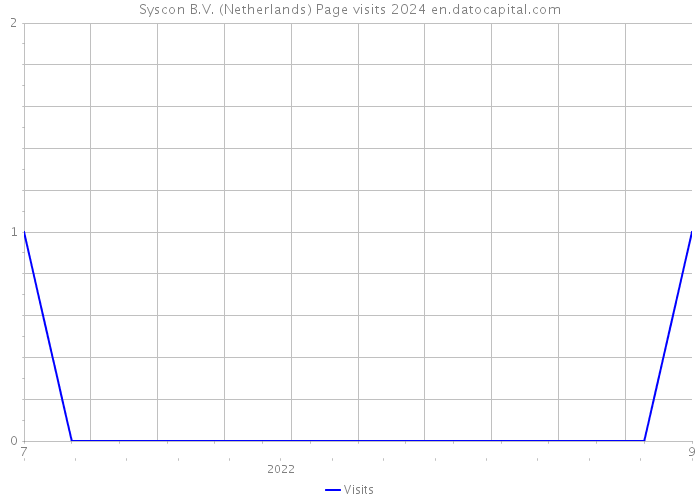 Syscon B.V. (Netherlands) Page visits 2024 