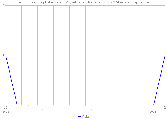 Turning Learning Enterprise B.V. (Netherlands) Page visits 2024 