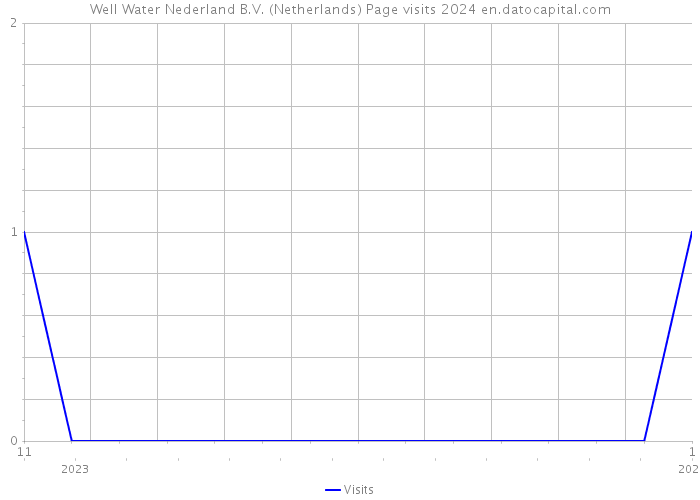 Well Water Nederland B.V. (Netherlands) Page visits 2024 