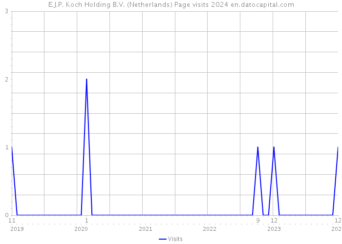 E.J.P. Koch Holding B.V. (Netherlands) Page visits 2024 