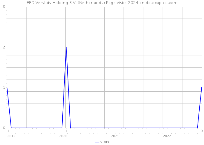EFD Versluis Holding B.V. (Netherlands) Page visits 2024 