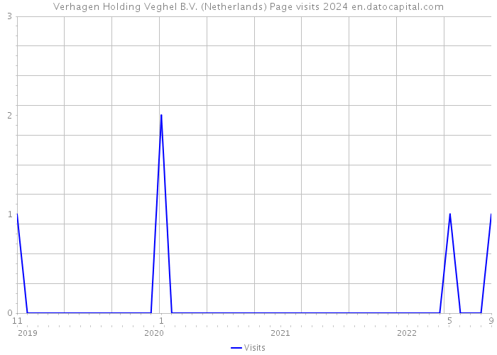 Verhagen Holding Veghel B.V. (Netherlands) Page visits 2024 