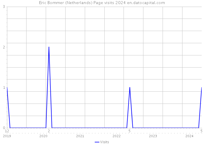 Eric Bommer (Netherlands) Page visits 2024 