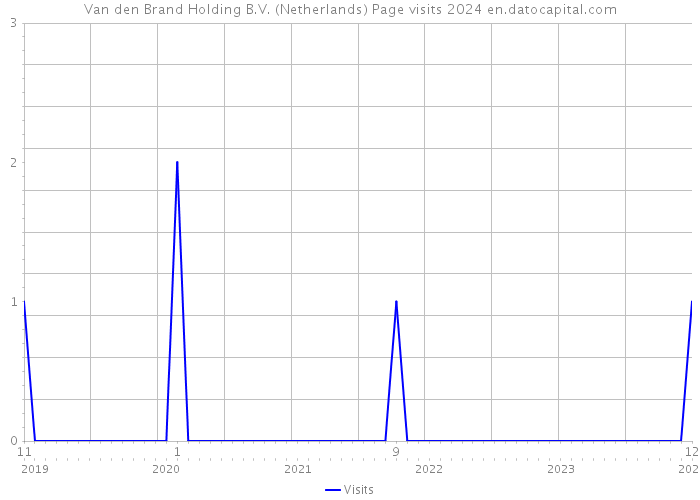 Van den Brand Holding B.V. (Netherlands) Page visits 2024 