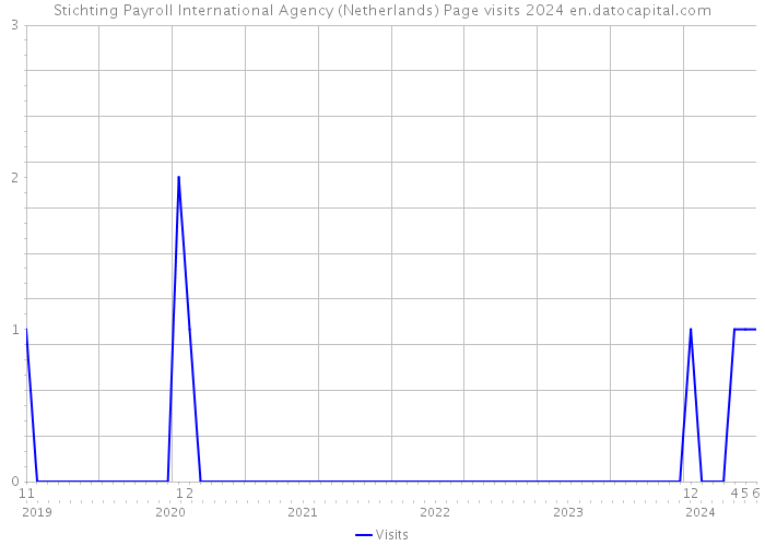 Stichting Payroll International Agency (Netherlands) Page visits 2024 