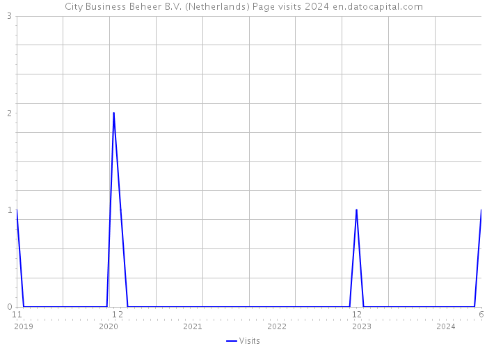 City Business Beheer B.V. (Netherlands) Page visits 2024 