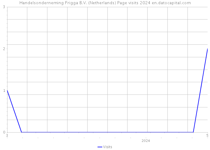Handelsonderneming Frigga B.V. (Netherlands) Page visits 2024 