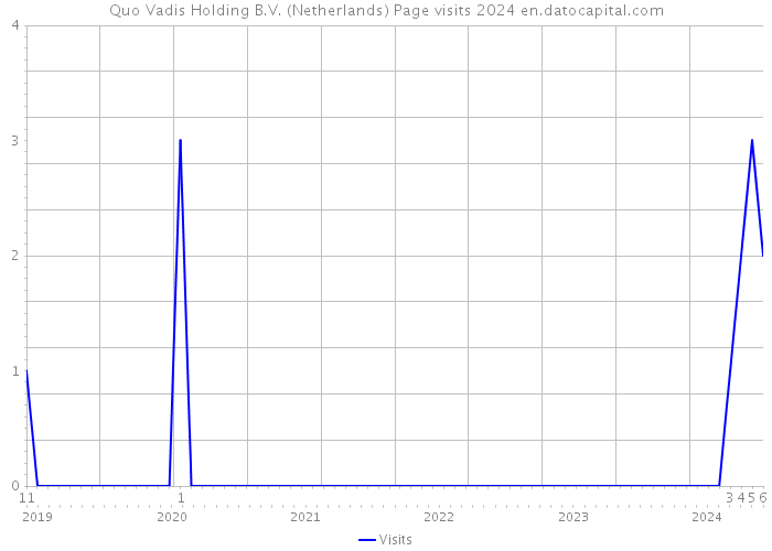 Quo Vadis Holding B.V. (Netherlands) Page visits 2024 