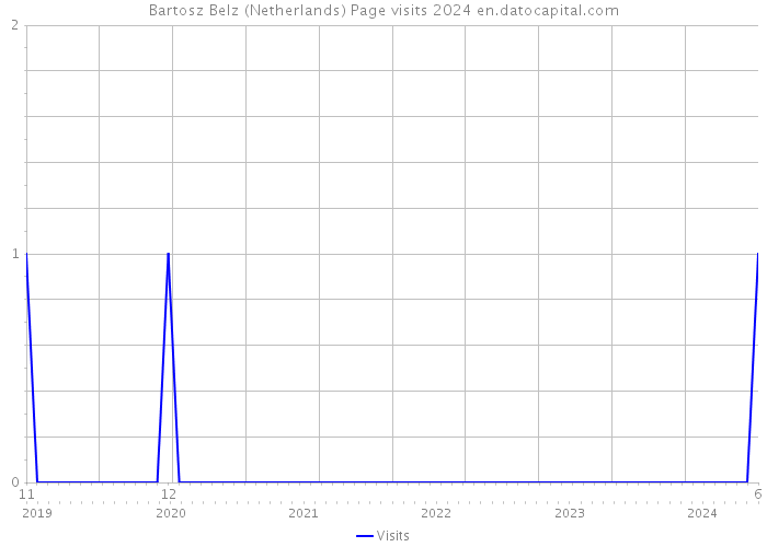 Bartosz Belz (Netherlands) Page visits 2024 