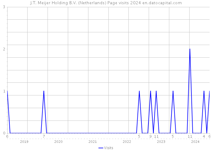 J.T. Meijer Holding B.V. (Netherlands) Page visits 2024 