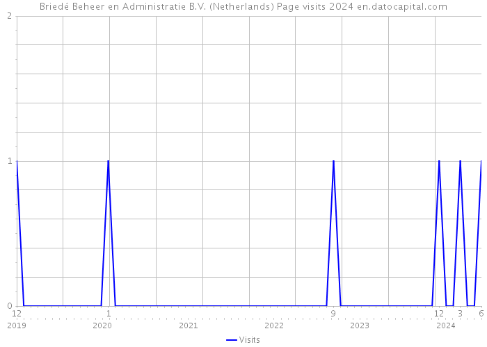 Briedé Beheer en Administratie B.V. (Netherlands) Page visits 2024 