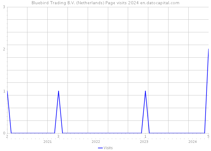 Bluebird Trading B.V. (Netherlands) Page visits 2024 