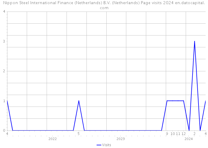 Nippon Steel International Finance (Netherlands) B.V. (Netherlands) Page visits 2024 