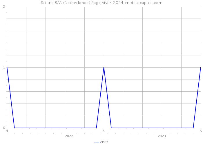 Scions B.V. (Netherlands) Page visits 2024 