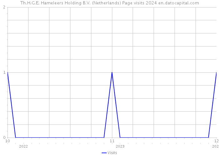 Th.H.G.E. Hameleers Holding B.V. (Netherlands) Page visits 2024 