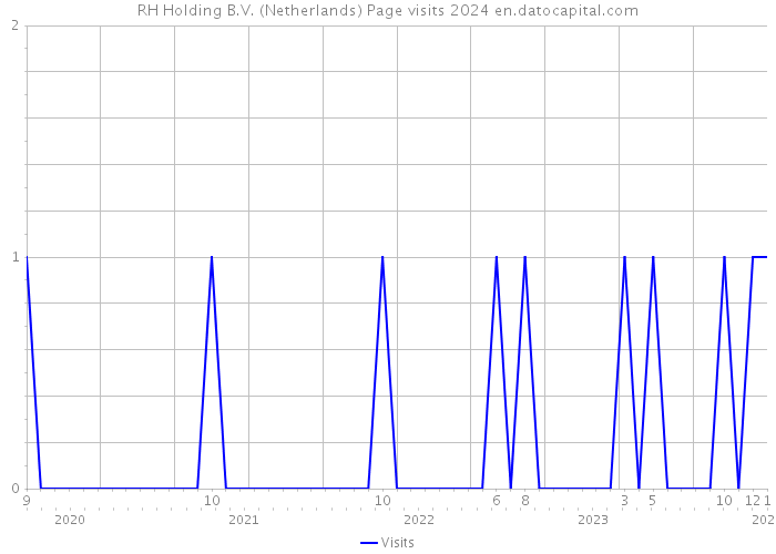 RH Holding B.V. (Netherlands) Page visits 2024 