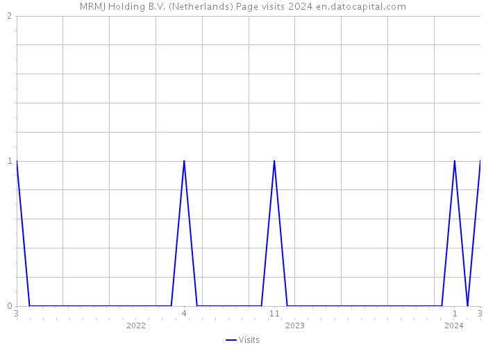 MRMJ Holding B.V. (Netherlands) Page visits 2024 